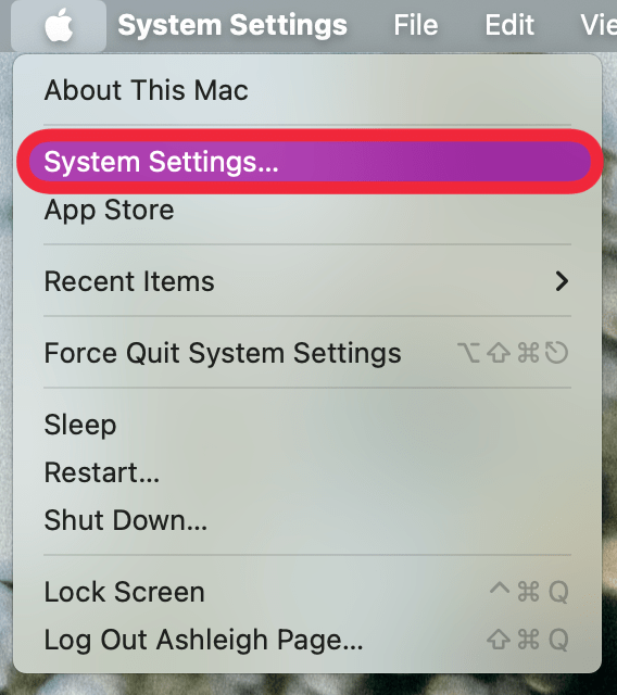 Tippen Sie auf „Apple Post“ und dann auf „Systemeinstellungen“.