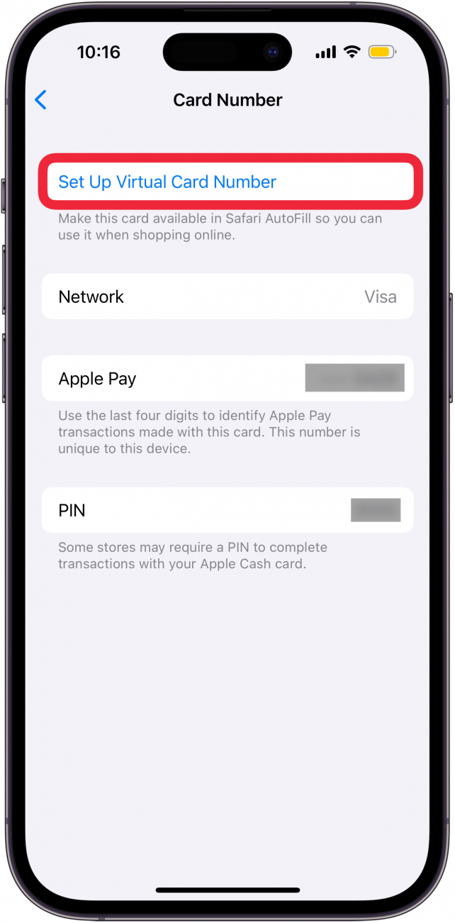 Bildschirm mit der virtuellen Kartennummer des iPhone Apple Wallet mit der rot eingekreisten Schaltfläche zum Einrichten der virtuellen Kartennummer