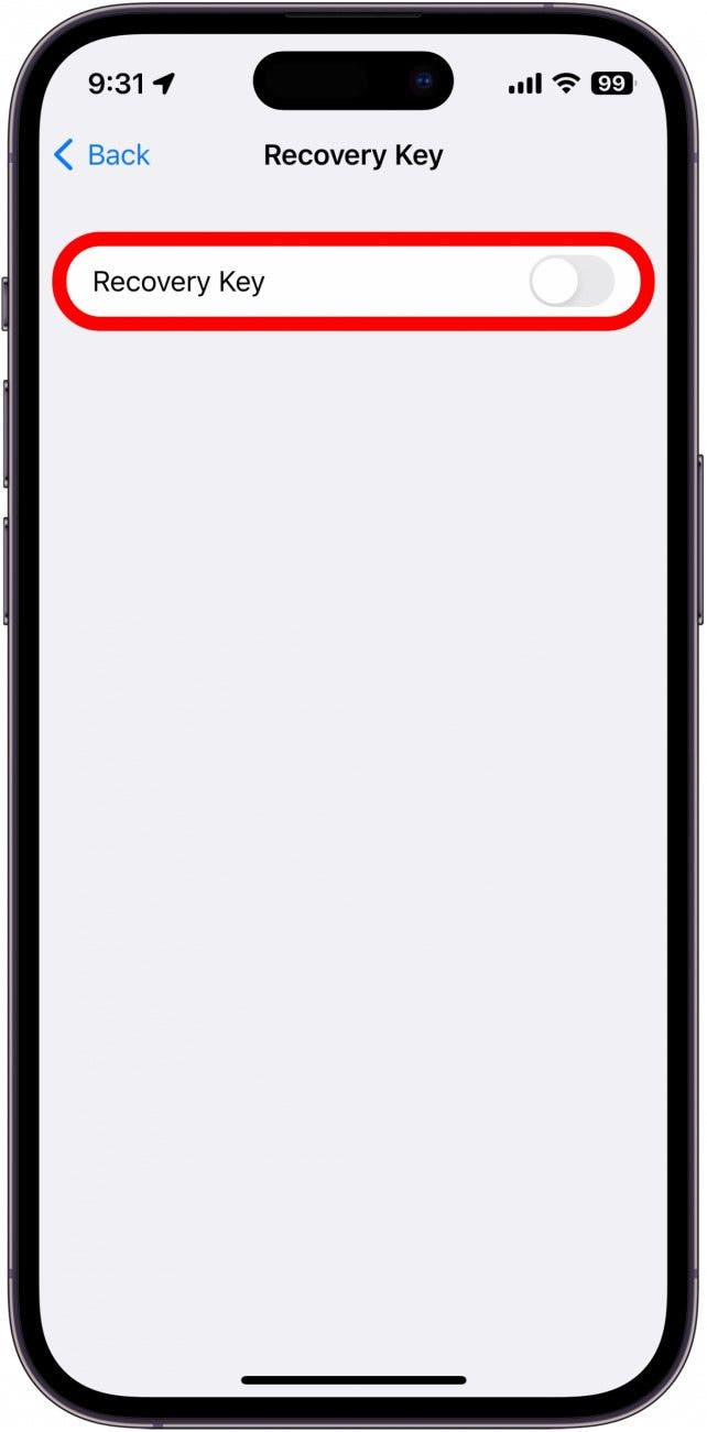 Bildschirm mit dem Wiederherstellungsschlüssel für das iPhone-Konto mit einem roten Kästchen um das Umschalten des Wiederherstellungsschlüssels
