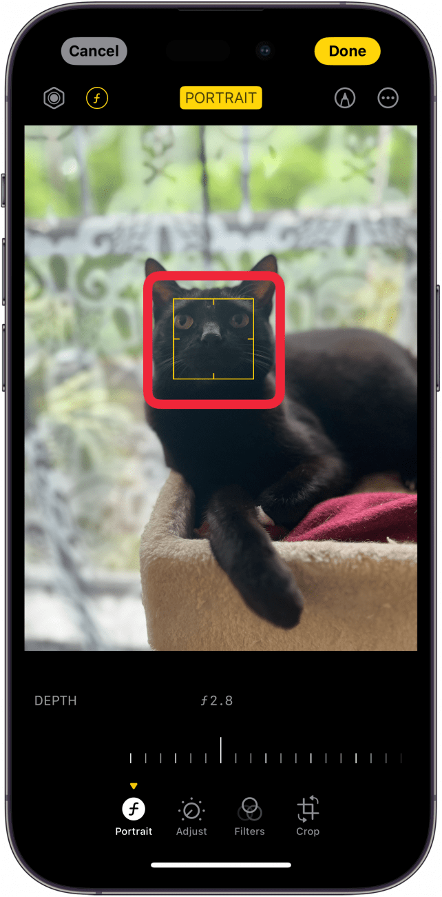 iPhone-Bildbearbeitungsprogramm mit einem roten Rahmen um das gelbe Fokusbereichsquadrat