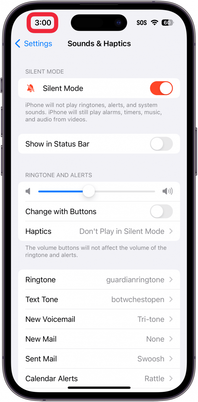 iPhone-Sound- und Haptik-Einstellungsbildschirm mit einem roten Kästchen mit der Zeit, wobei das Symbol für die stille Glocke nicht mehr angezeigt wird