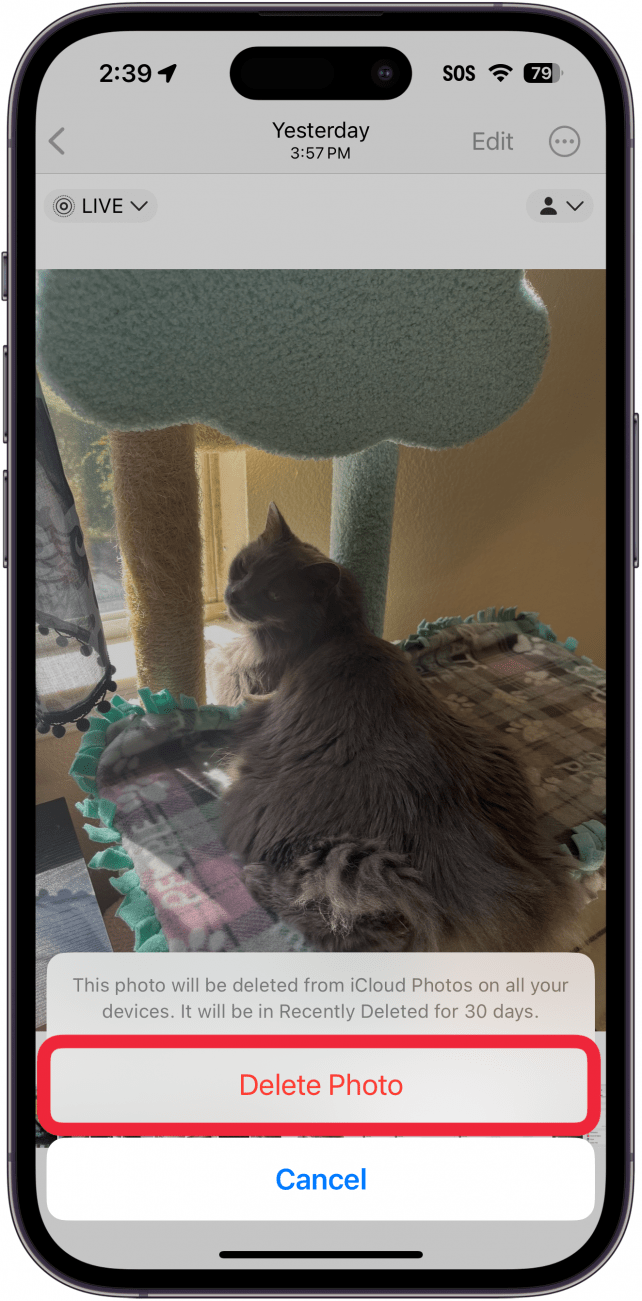 iPhone-Fotos-App, die ein Foto mit einem Popup zur Bestätigung des Löschvorgangs und einem roten Kästchen um die Schaltfläche zum Löschen des Fotos anzeigt