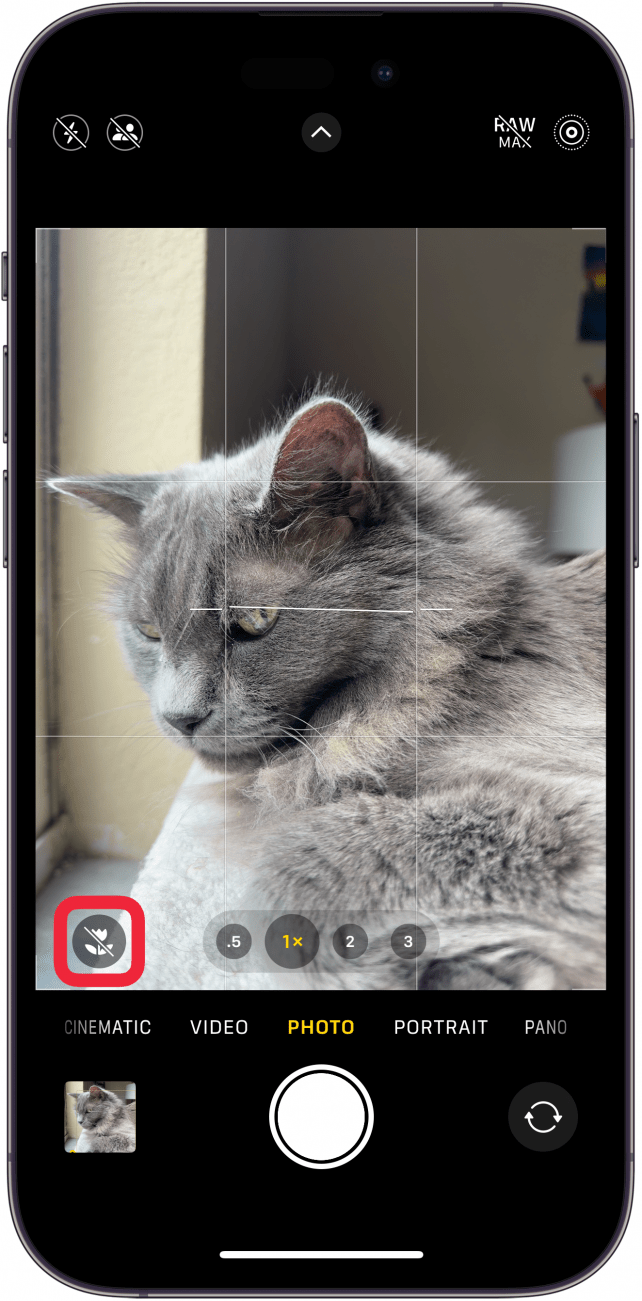 iPhone-Kamera-App mit einem grauen, durchgestrichenen Blumensymbol und einem roten Kästchen darum herum