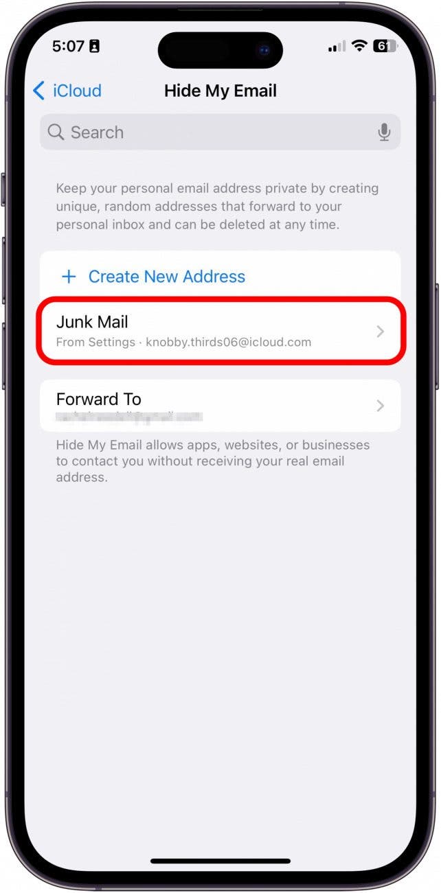 Jetzt sehen Sie Ihre neue Dummy -E -Mail auf dem Bildschirm 